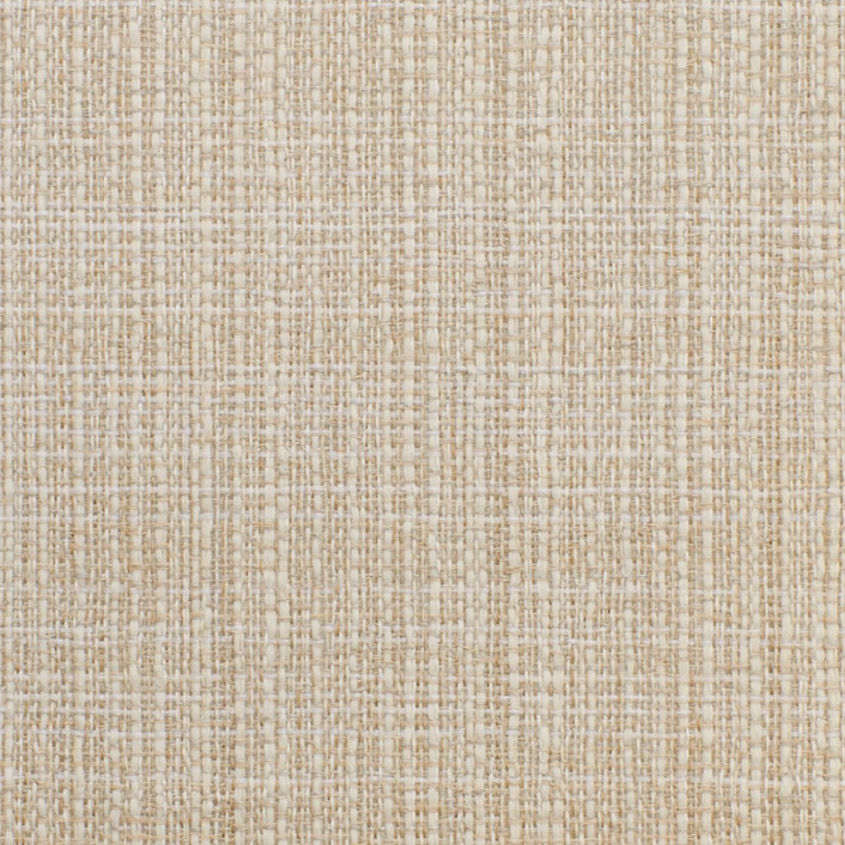 DEDAR | Rigmarola