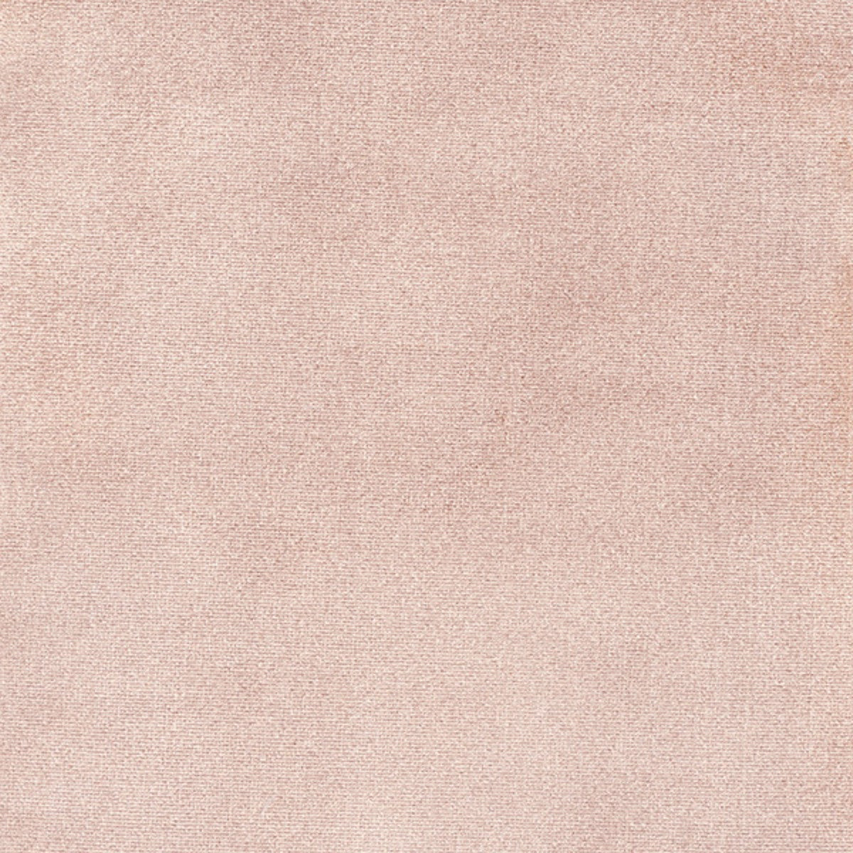 DEDAR | Splendido