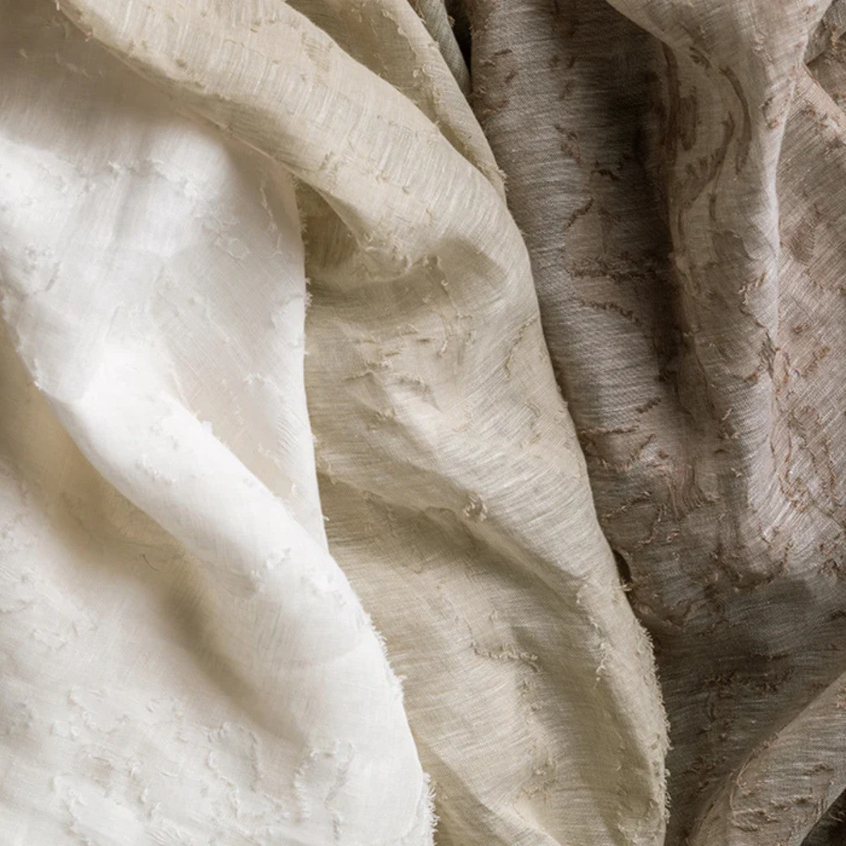 de Le Cuona | Fossil