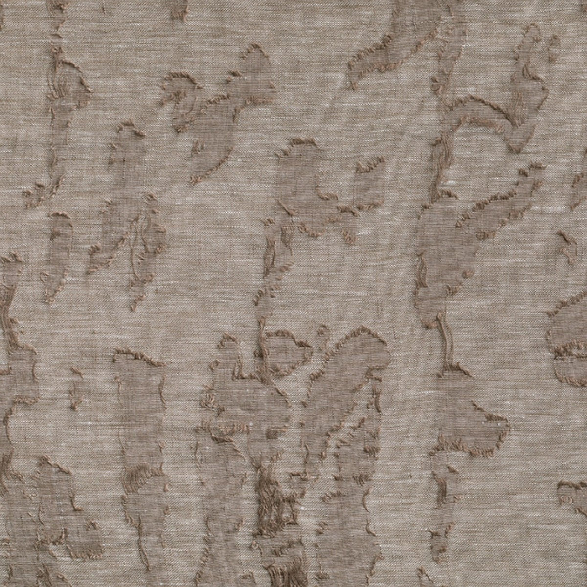 de Le Cuona | Fossil