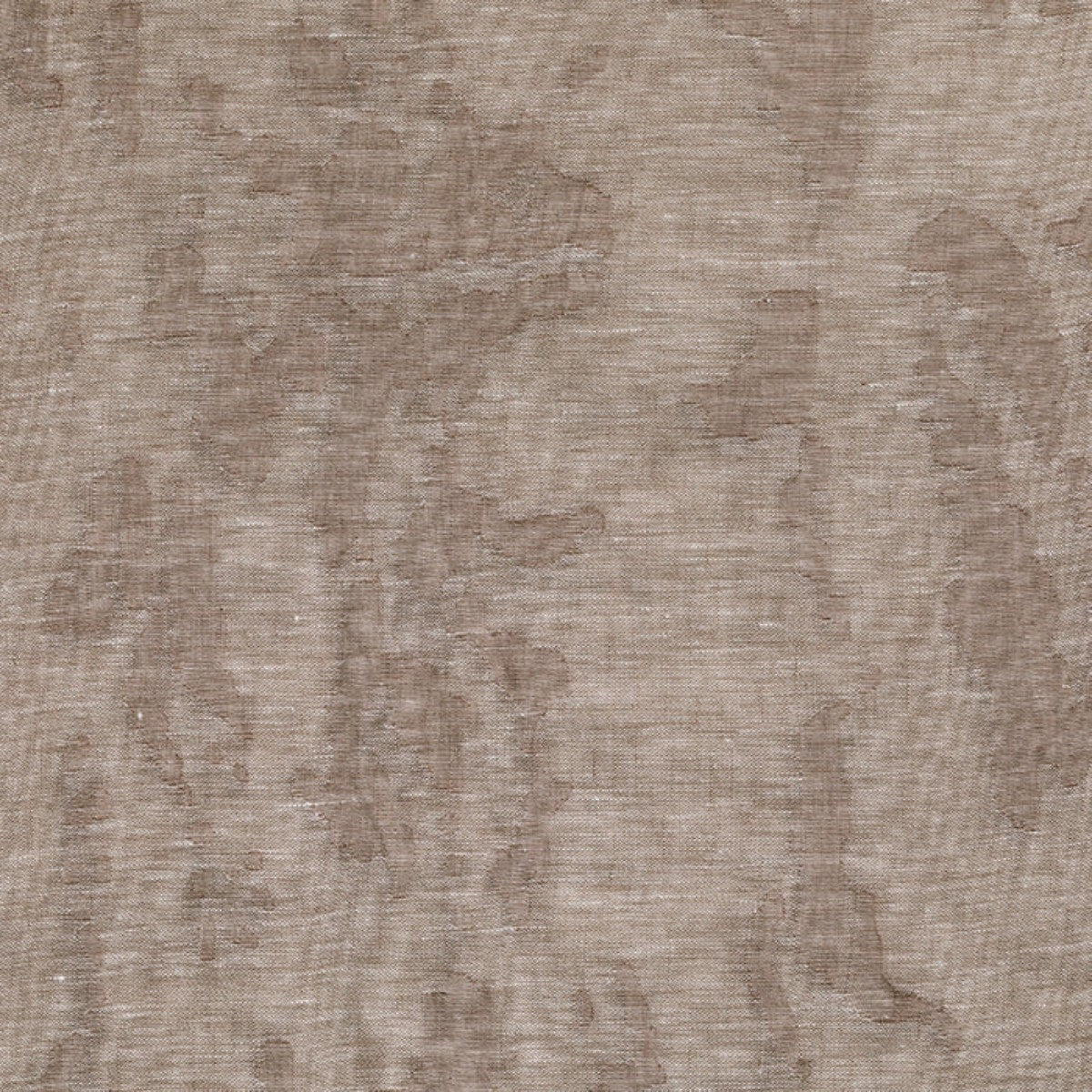 de Le Cuona | Fossil