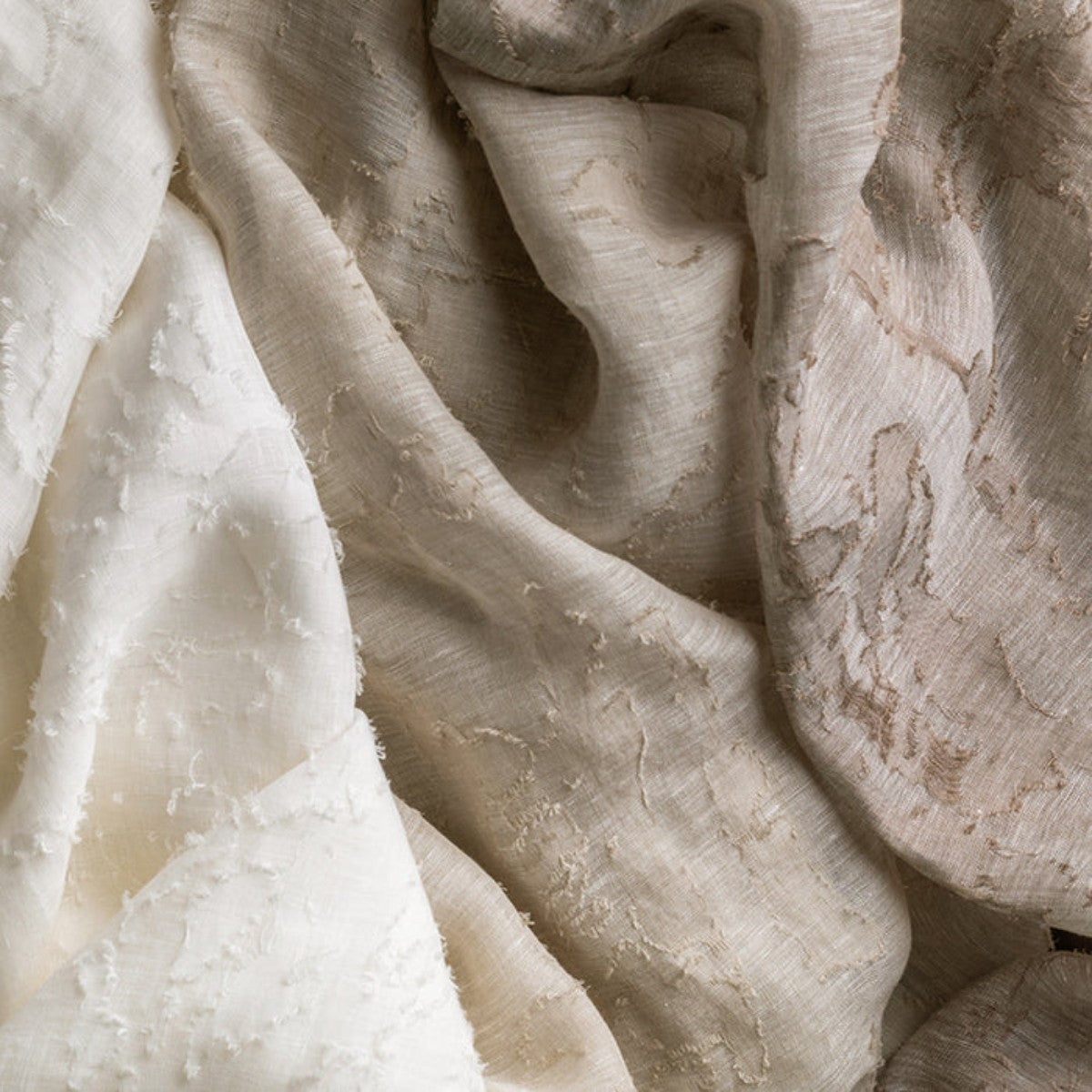 de Le Cuona | Fossil