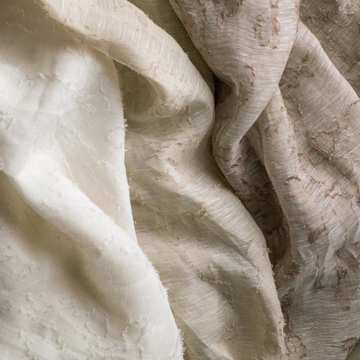 de Le Cuona | Fossil