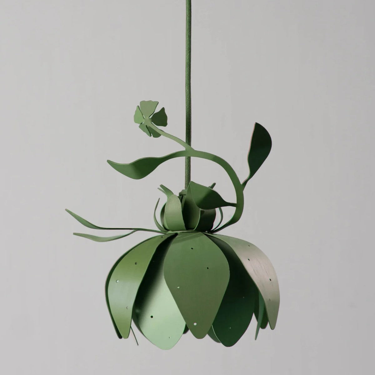 Porta Romana | Botanica Pendant