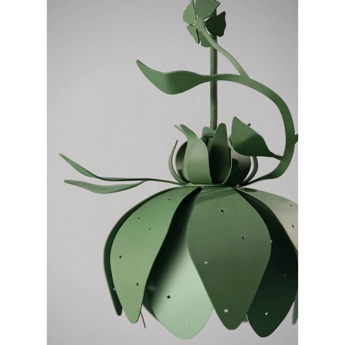 Porta Romana | Botanica Pendant