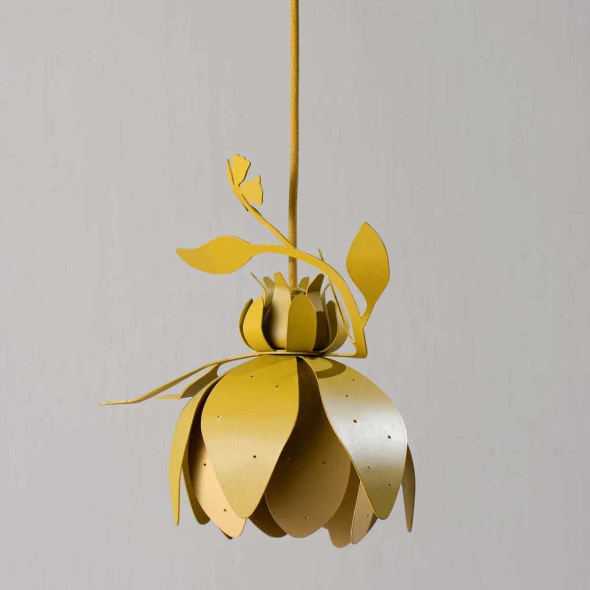 Porta Romana | Botanica Pendant