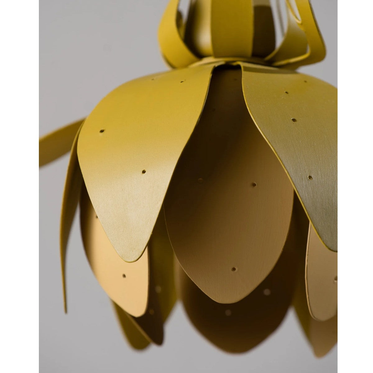 Porta Romana | Botanica Pendant