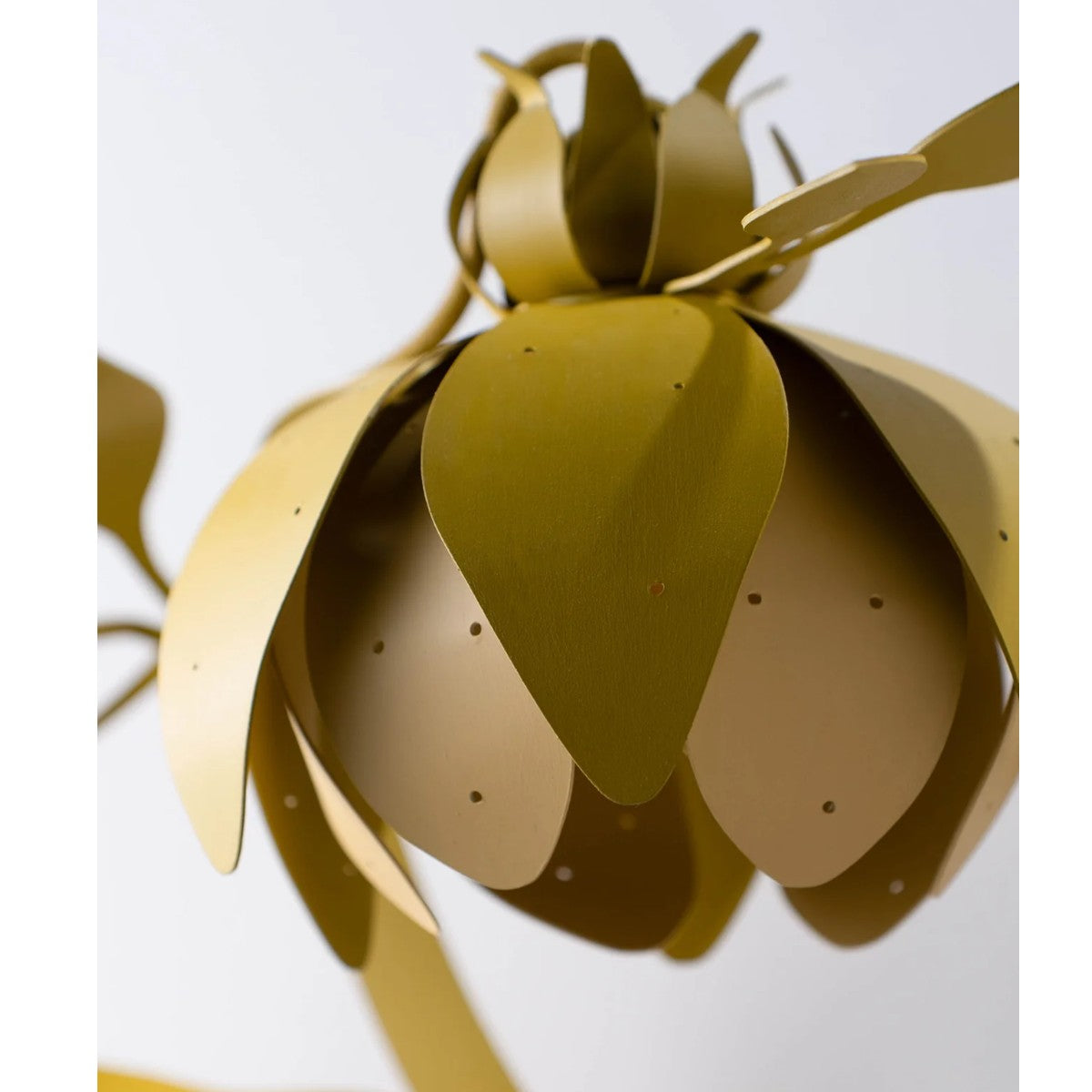 Porta Romana | Botanica Wall Light