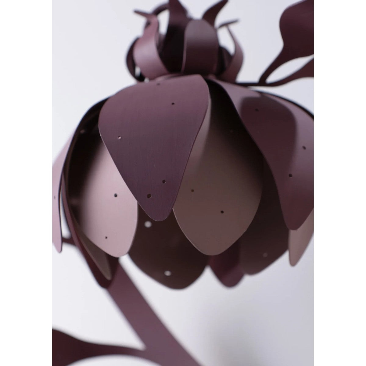 Porta Romana | Botanica Wall Light