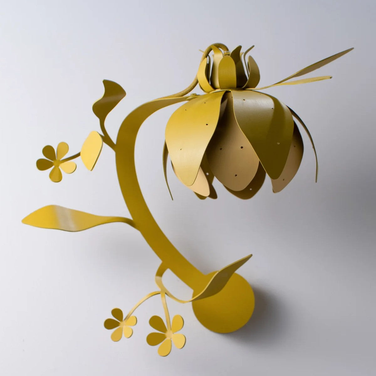 Porta Romana | Botanica Wall Light