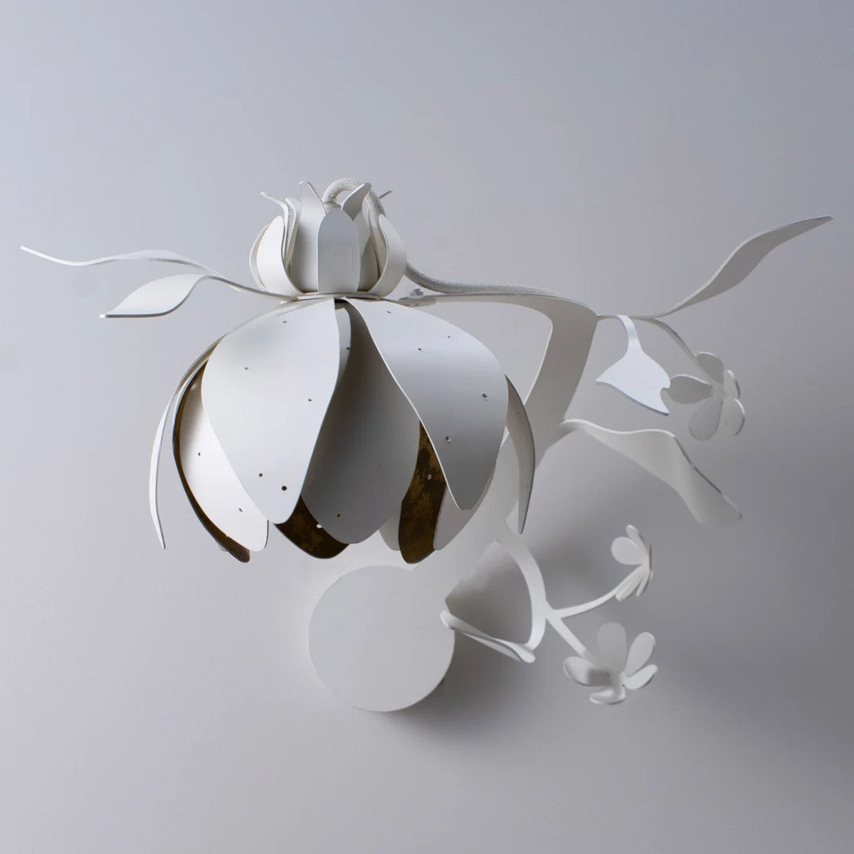 Porta Romana | Botanica Wall Light