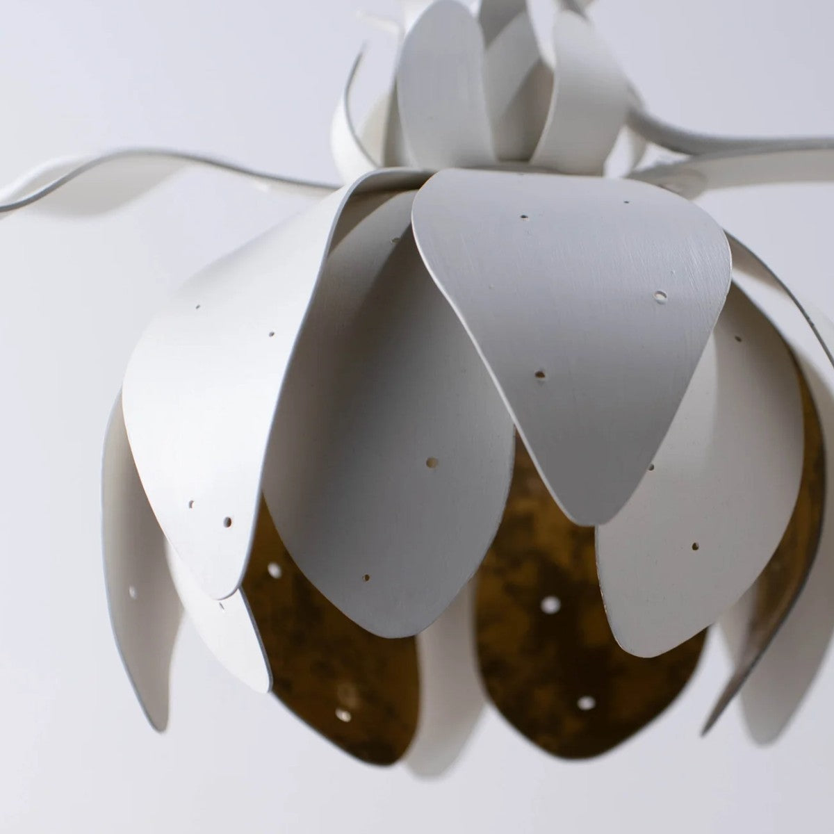 Porta Romana | Botanica Wall Light