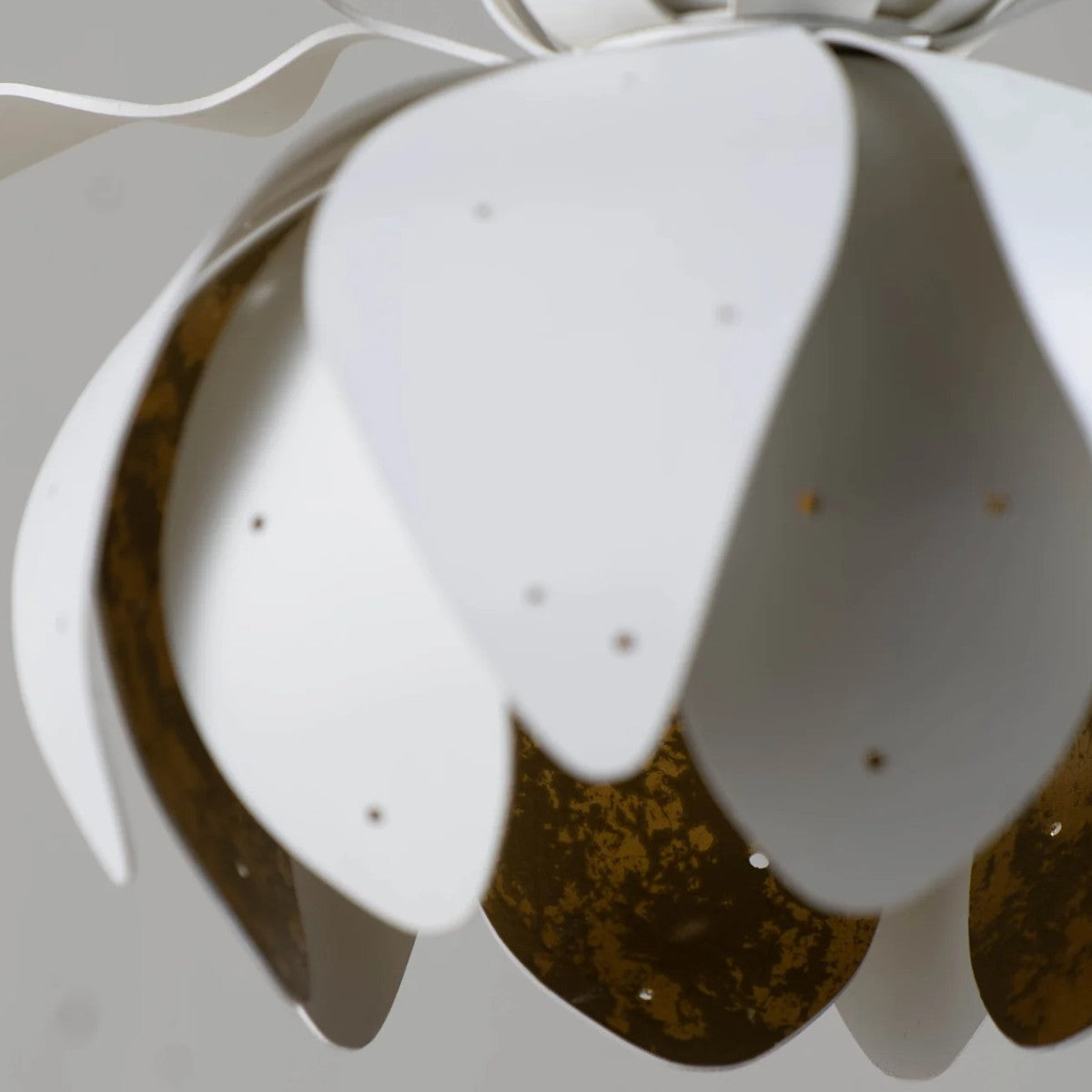 Porta Romana | Botanica Wall Light