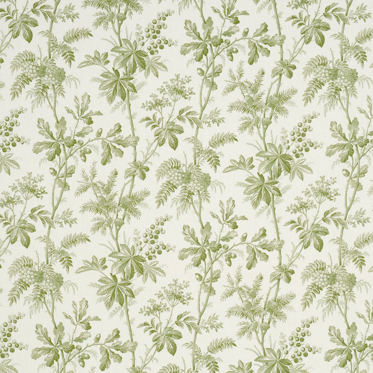 Schumacher | Brantwood Vine fabric - 174114