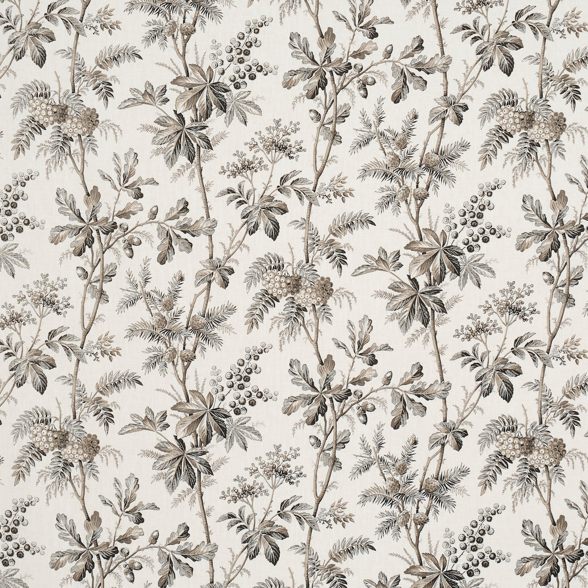 Schumacher | Brantwood Vine fabric - 174115