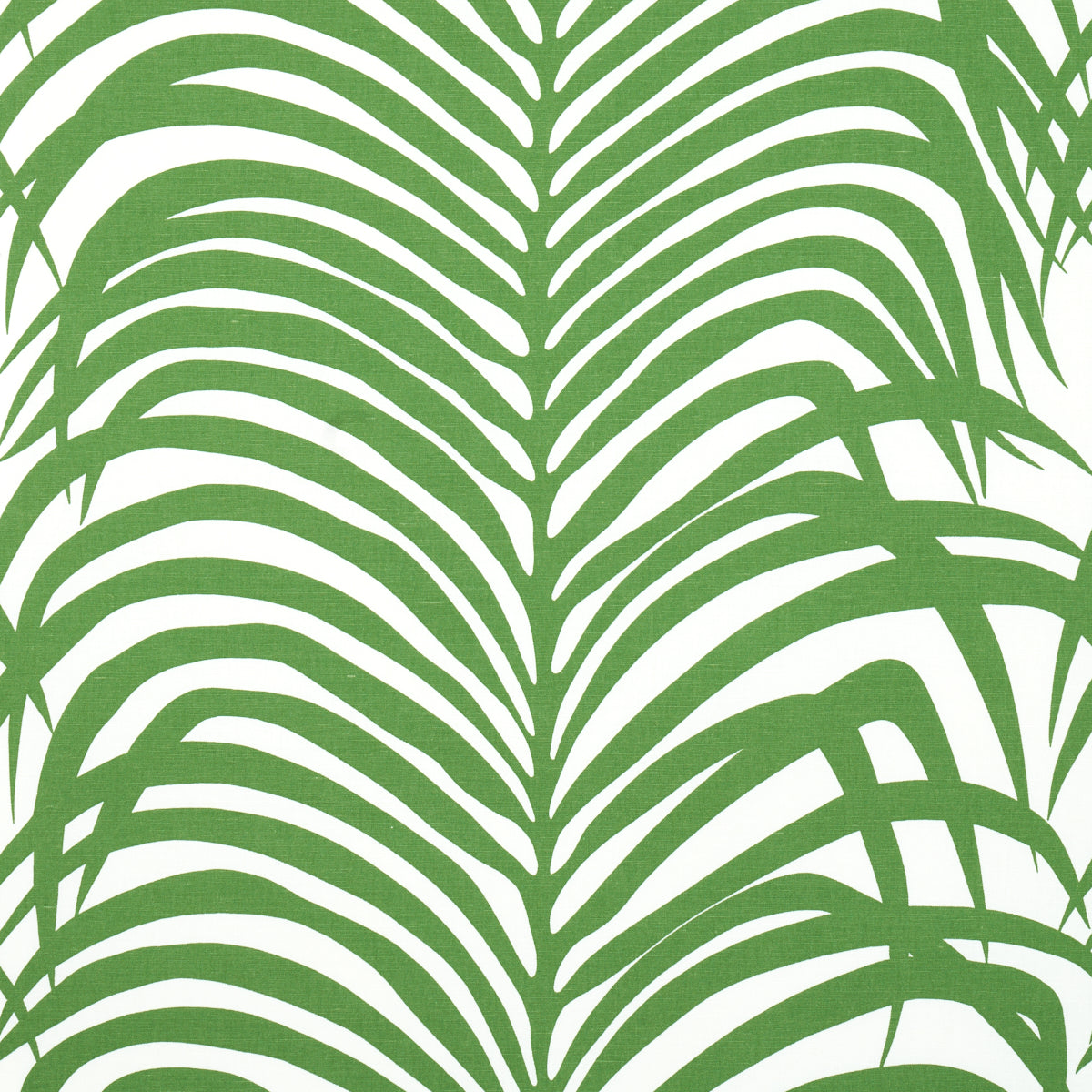 Schumacher | Zebra Palm fabric - 174871