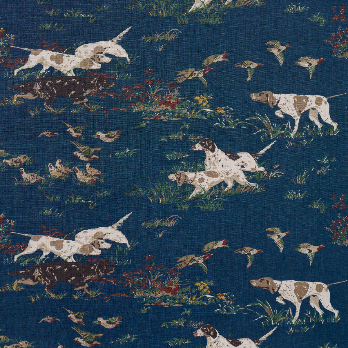 Schumacher | Pointers fabric - 175163