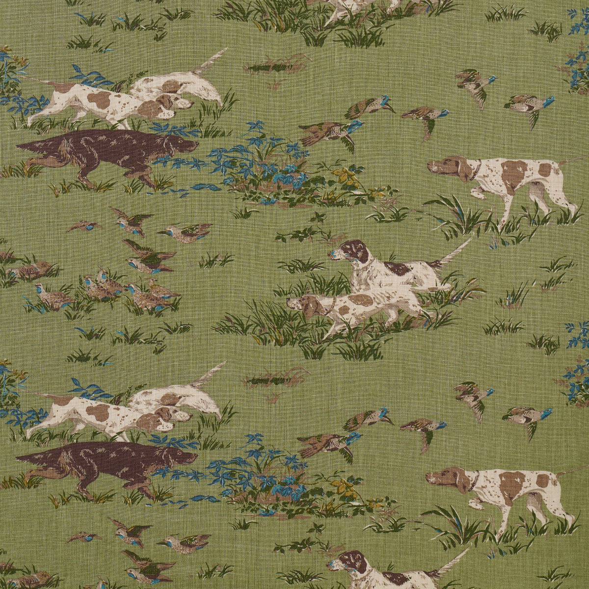 Schumacher | Pointers fabric - 175164