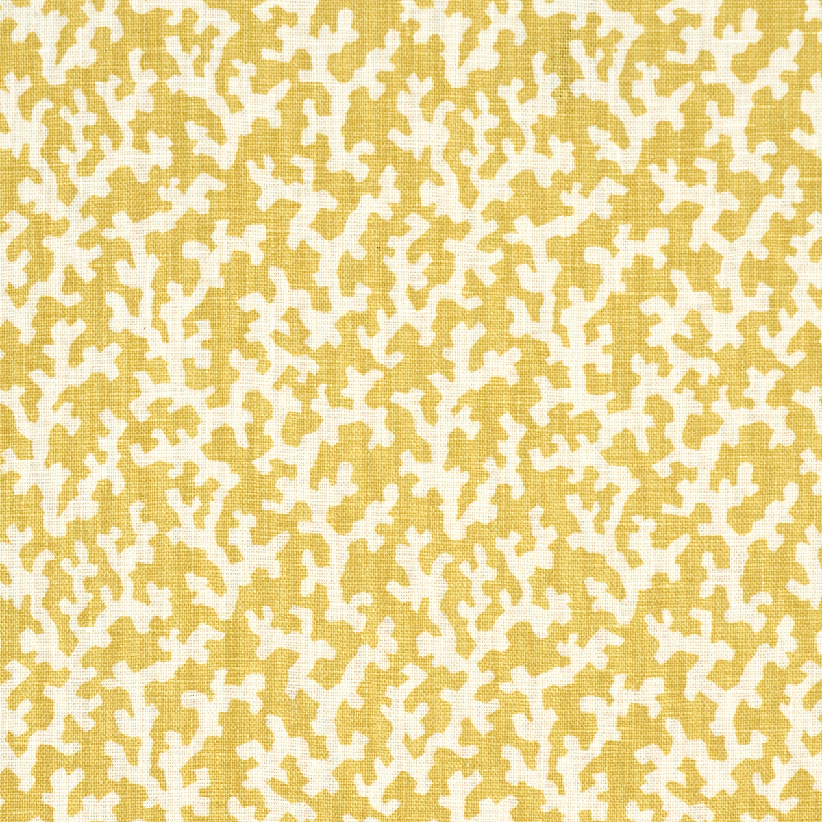 Schumacher | Folly fabric - 176128