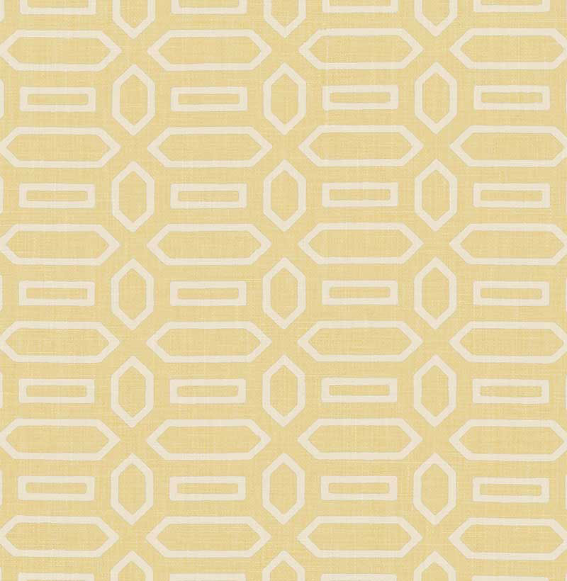 Schumacher | Pavilion fabric - 176142