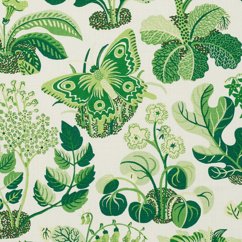Schumacher | Exotic Butterfly fabric - 176185