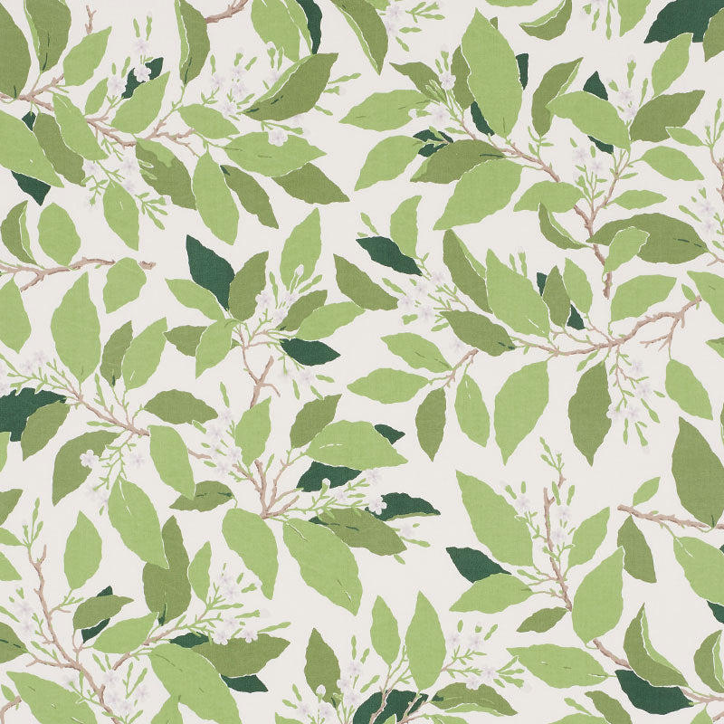 Schumacher | Dogwood Leaf fabric - 176520