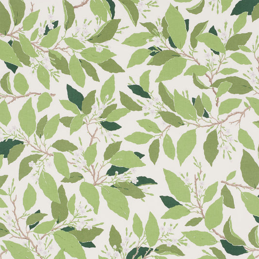 Schumacher | Dogwood Leaf fabric - 176520