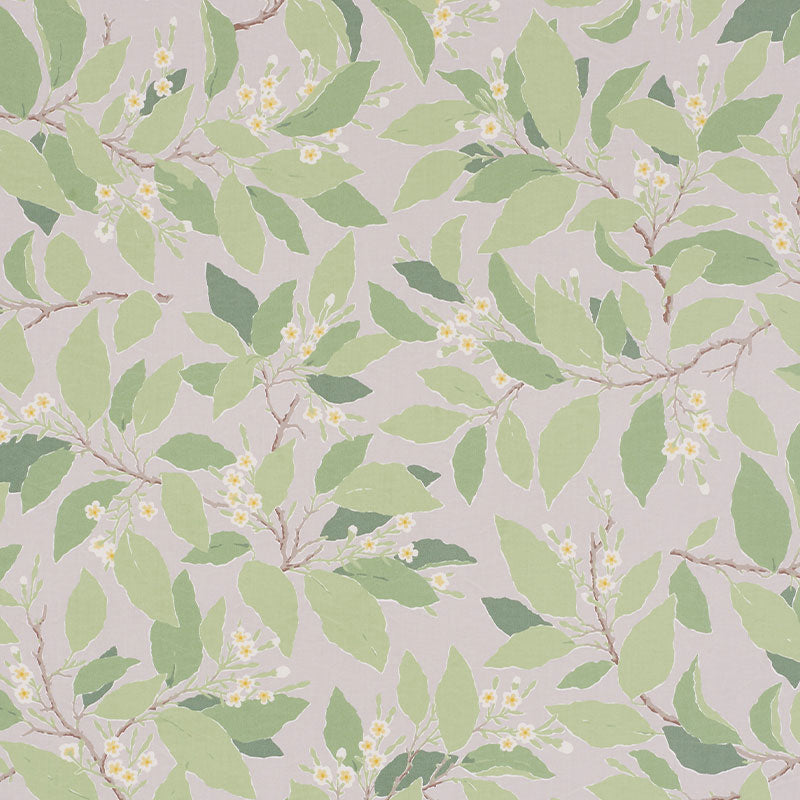 Schumacher | Dogwood Leaf fabric - 176521