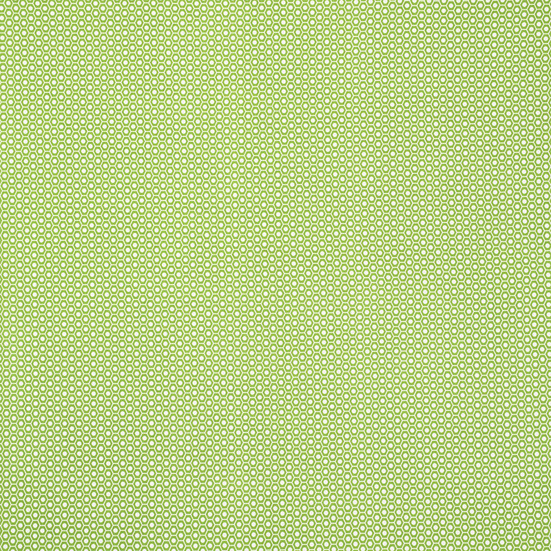 Schumacher | Queen B II Indoor/Outdoor fabric - 176560