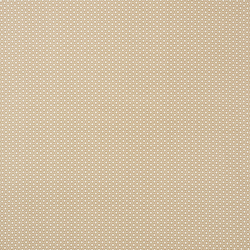 Schumacher | Queen B II Indoor/Outdoor fabric - 176561