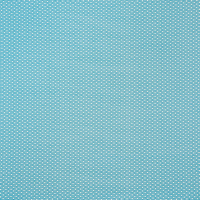 Schumacher | Queen B II Indoor/Outdoor fabric - 176563