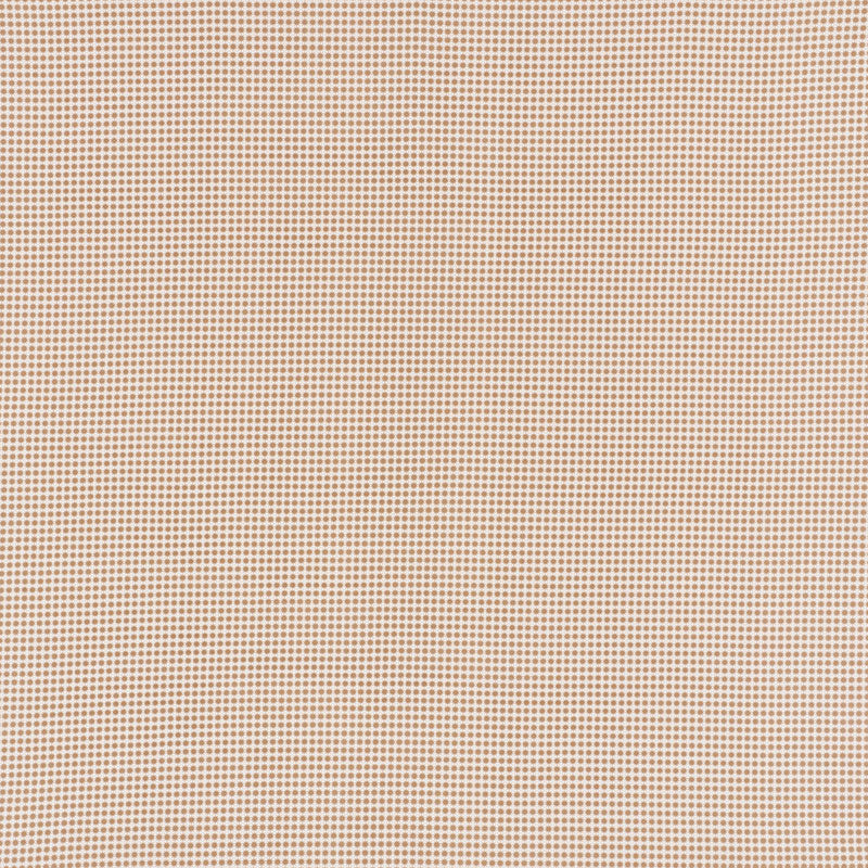 Schumacher | Stella II Indoor/Outdoor fabric - 176574