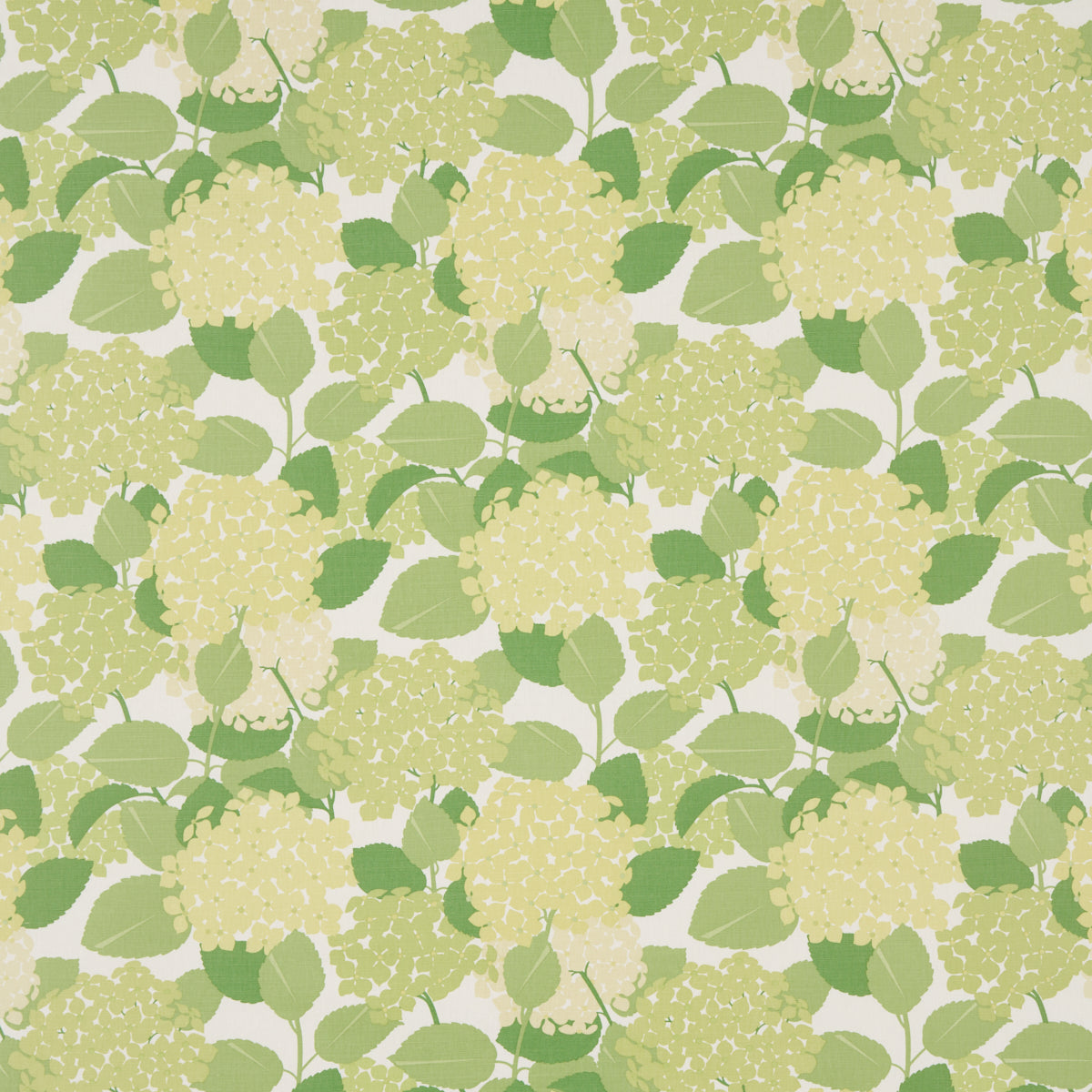 Schumacher | Hydrangea fabric - 177584