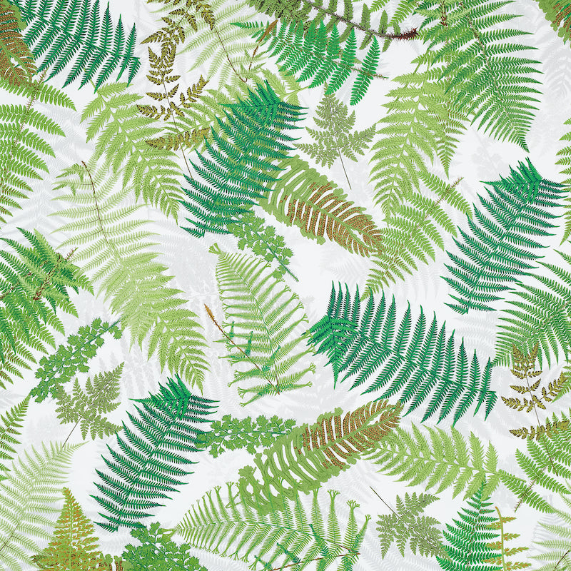 Schumacher | Fernarium fabric - 177590