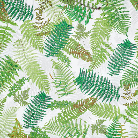 Schumacher | Fernarium fabric - 177590