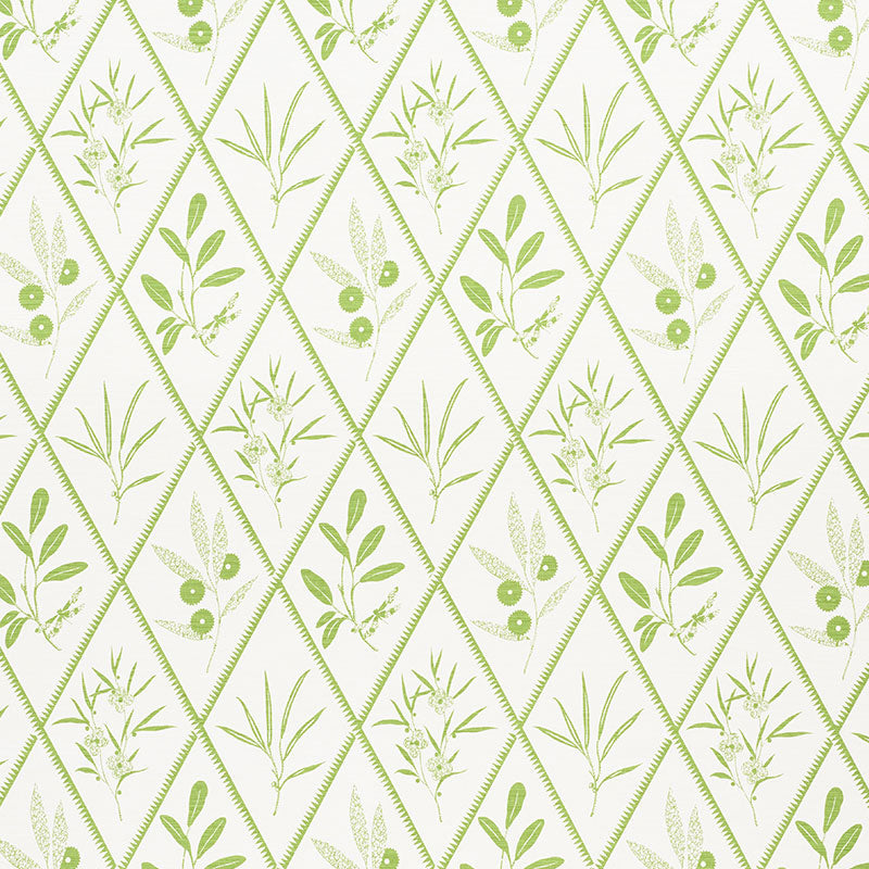 Schumacher | Endimione fabric - 177641