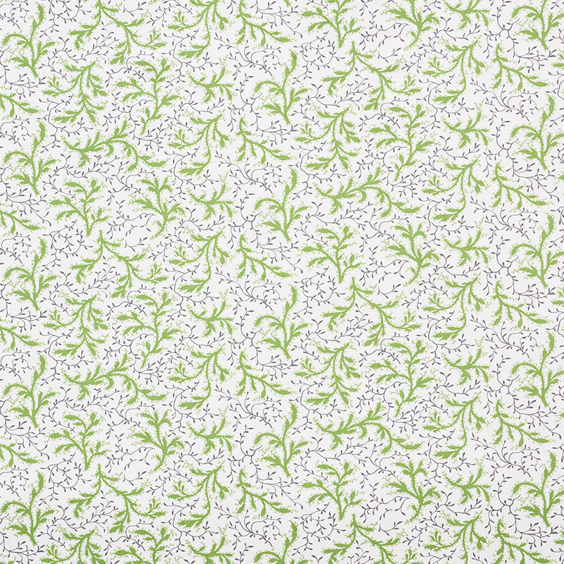 Schumacher | Sprig fabric - 177831