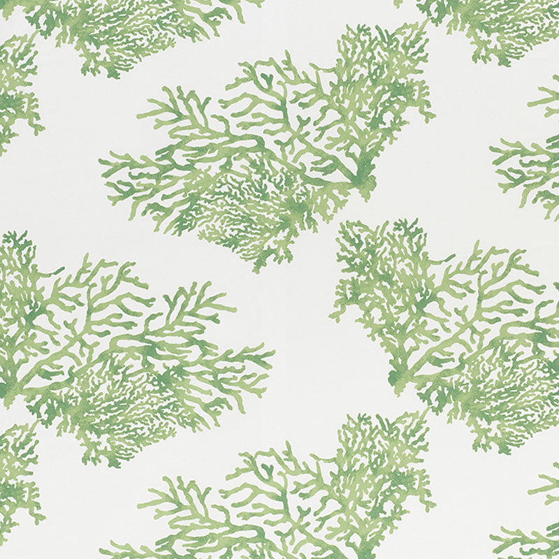 Schumacher | Great Barrier Reef II fabric - 178291