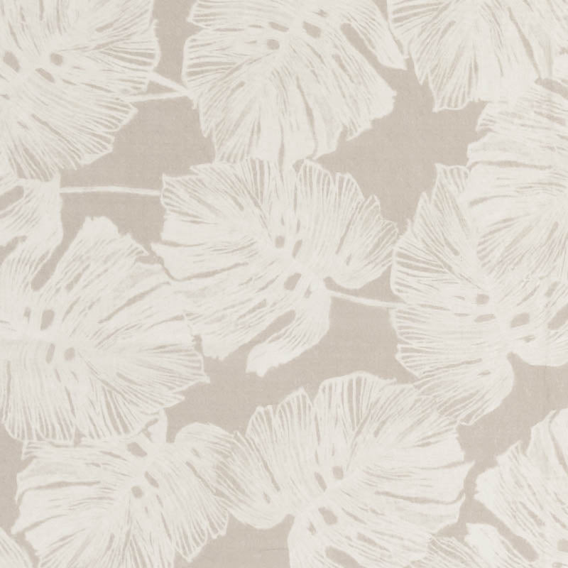 Schumacher | Del Coco Sheer fabric - 178340