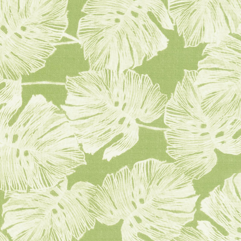 Schumacher | Del Coco Sheer fabric - 178342