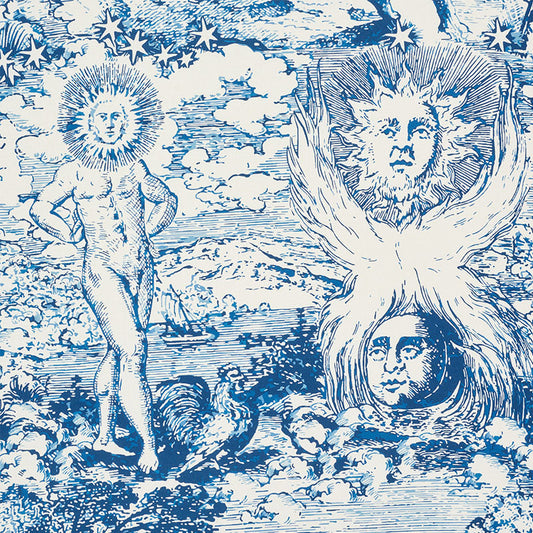 Schumacher | Modern Toile fabric - 178620