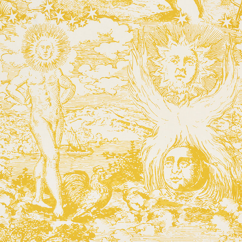 Schumacher | Modern Toile fabric - 178622