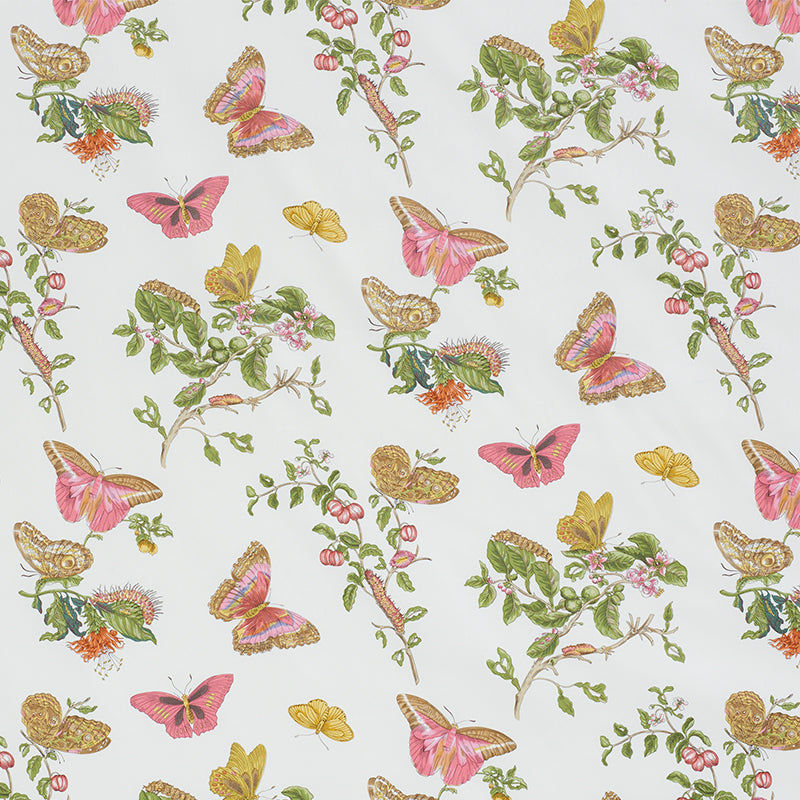 Schumacher | Baudin Butterfly Chintz fabric - 178720