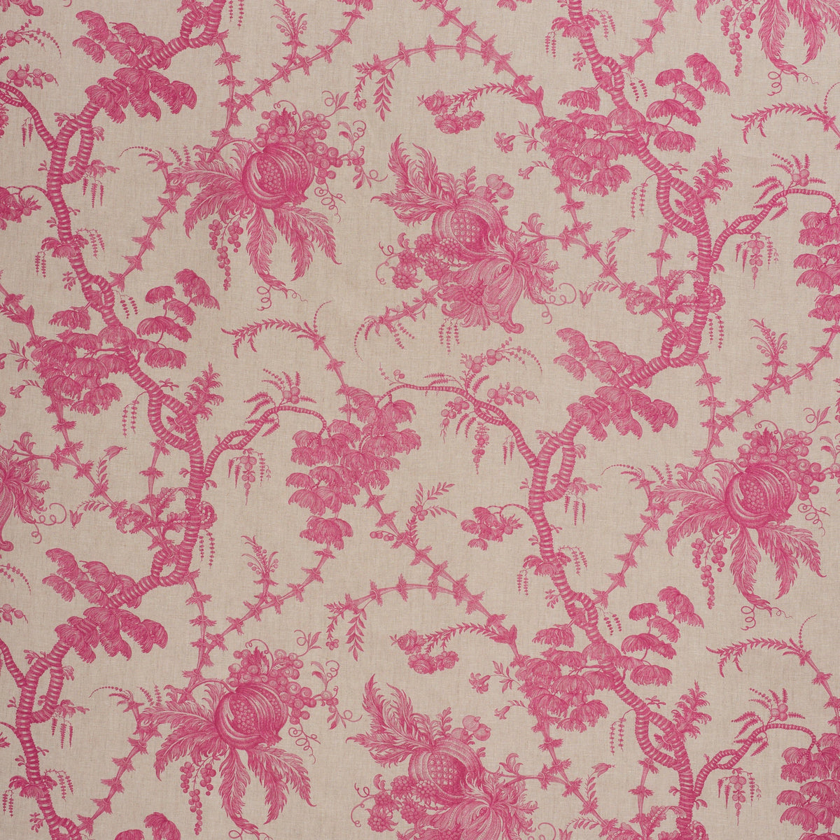 Schumacher | San Cristobal Toile fabric - 178730