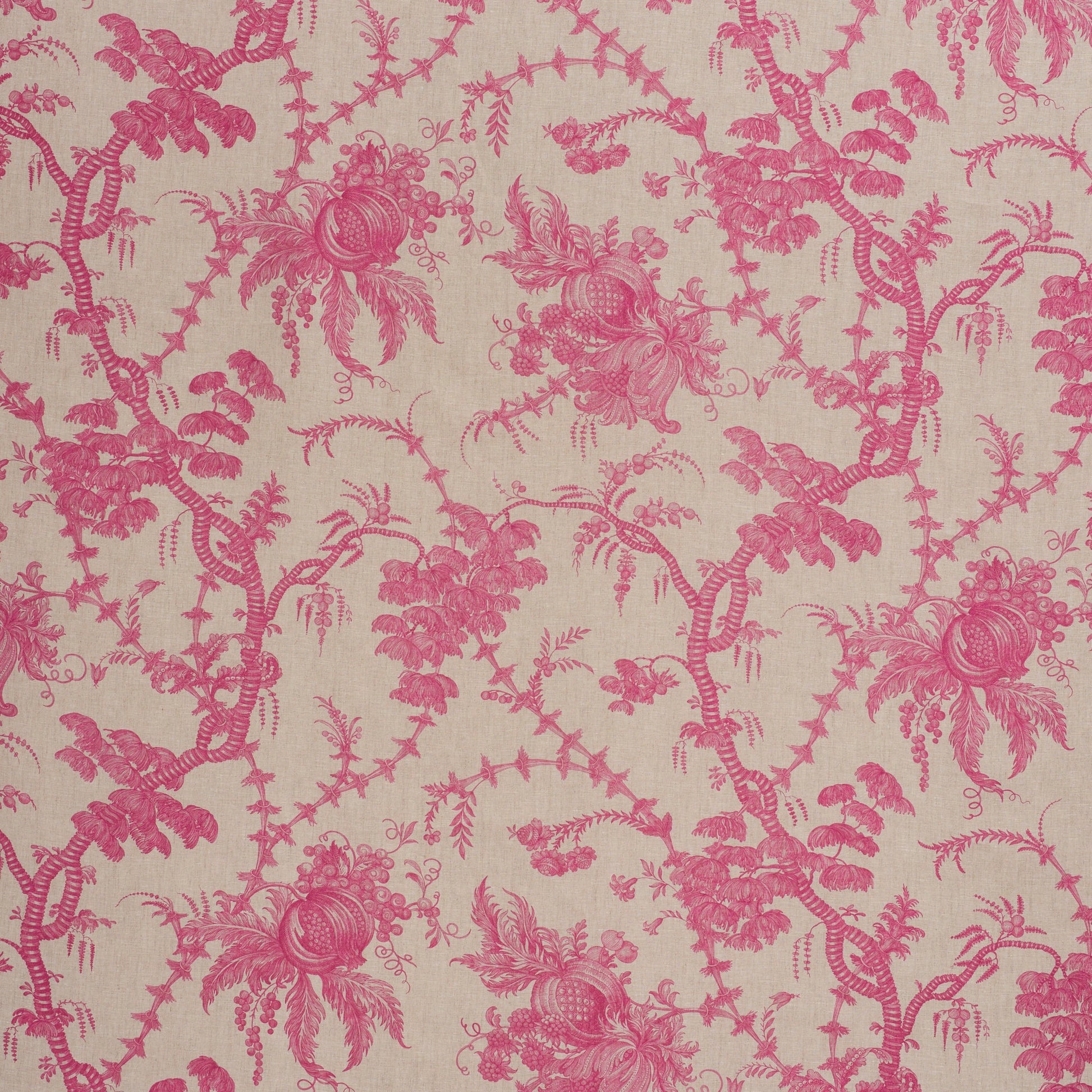 Schumacher | San Cristobal Toile fabric - 178730