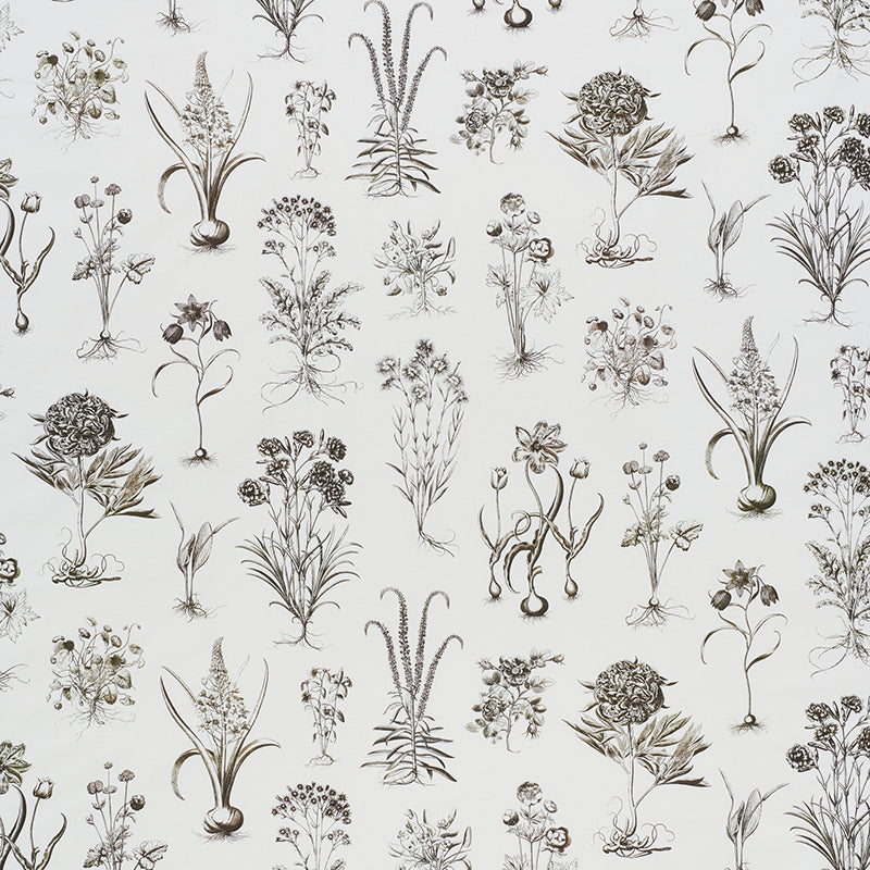 Schumacher | Cabot Botanical fabric - 178751