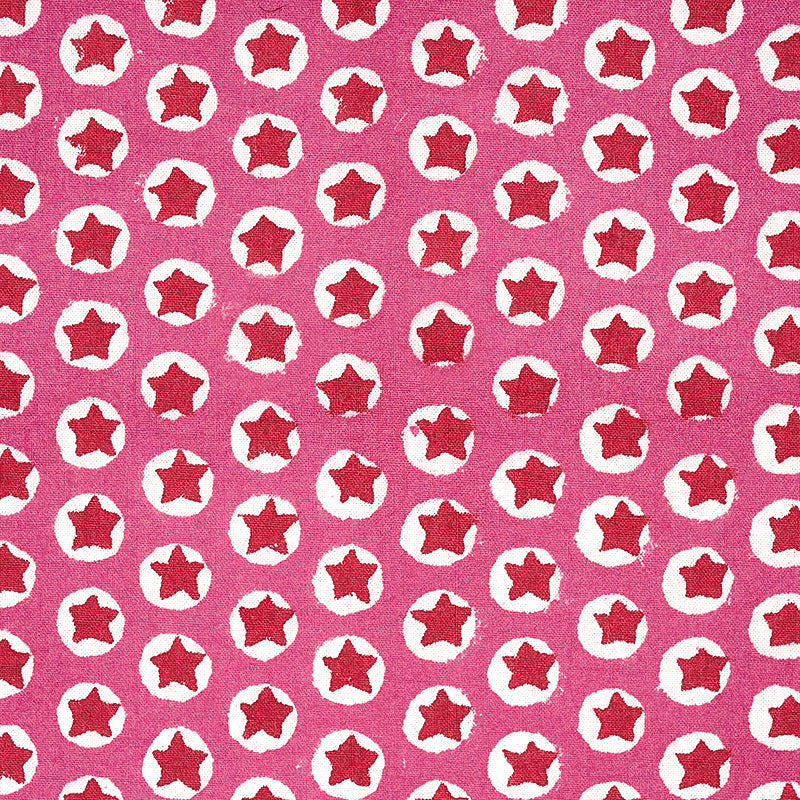 Schumacher | Tuk Tuk Hand Block Print fabric - 179220