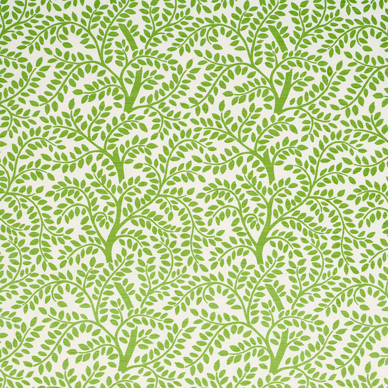 Schumacher | Temple Garden II fabric - 179501