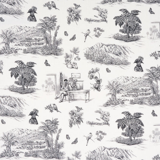 Schumacher | Toussaint Toile fabric - 180270