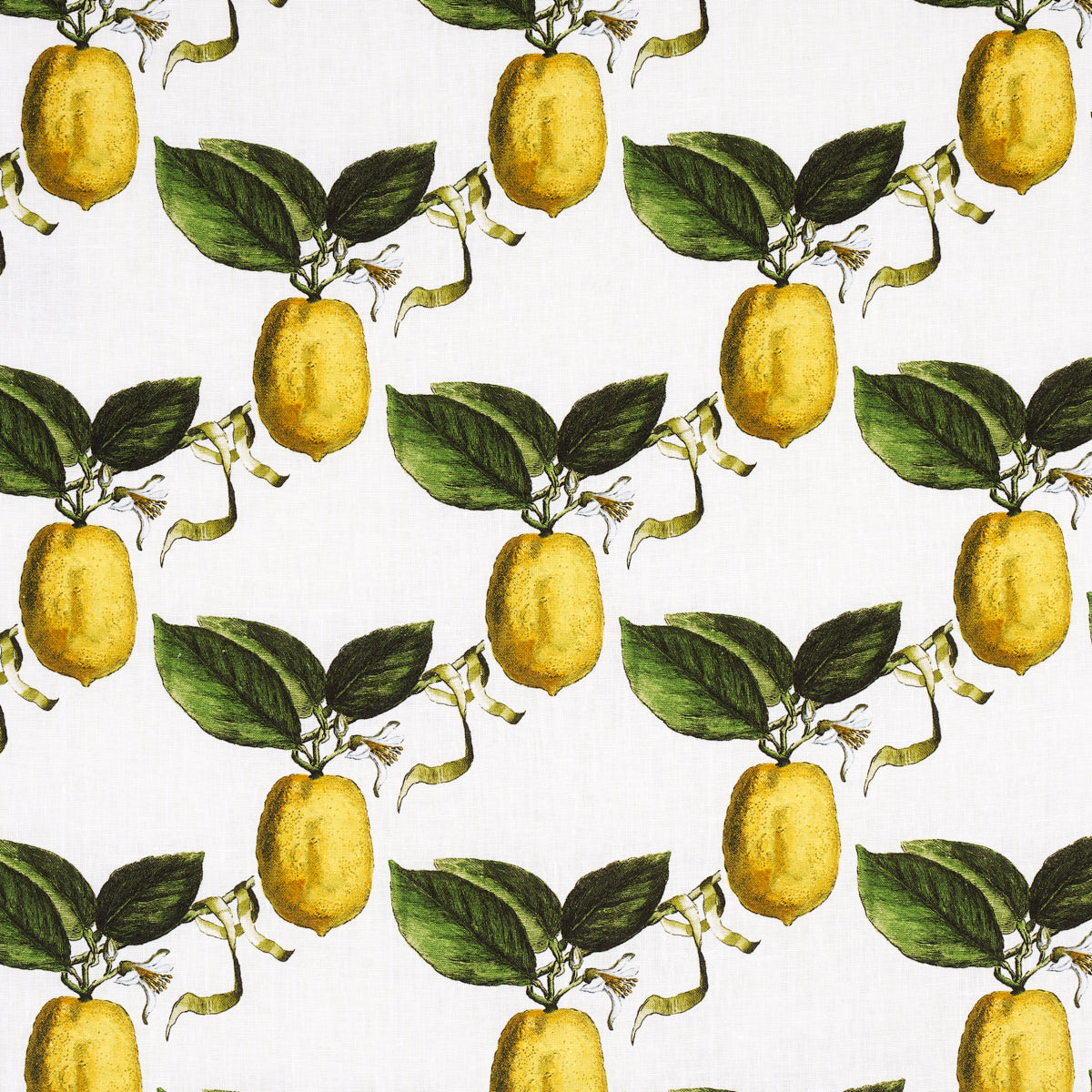 Schumacher | Le Citron fabric - 180630